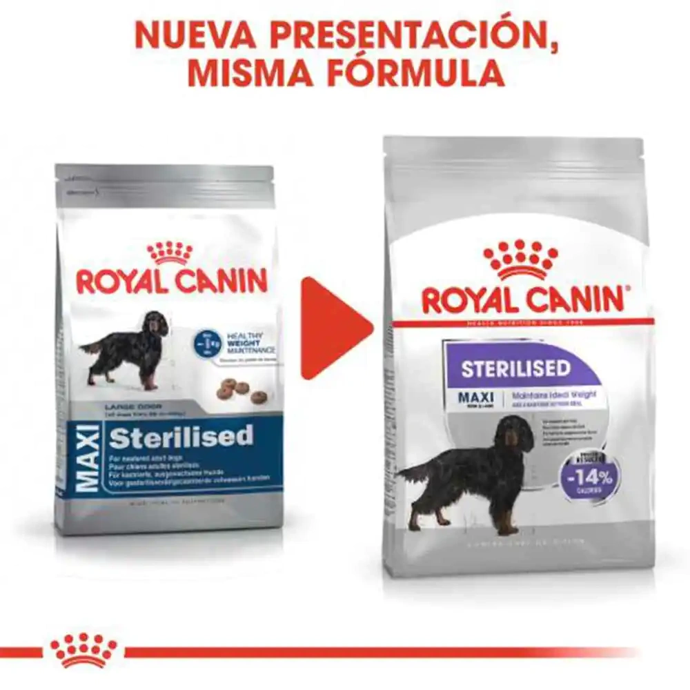 Royal Canin Maxi Sterilised Adult Care Dry Dog Food - Image 3