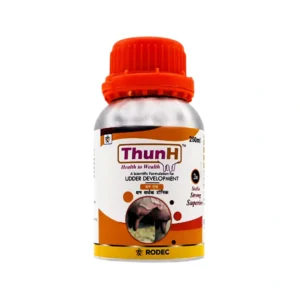 Thun-H