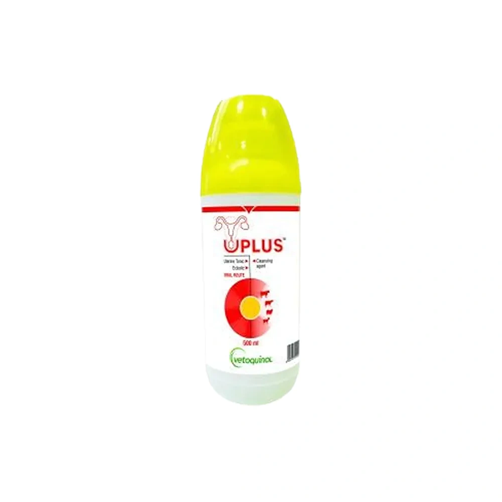 UPLUS