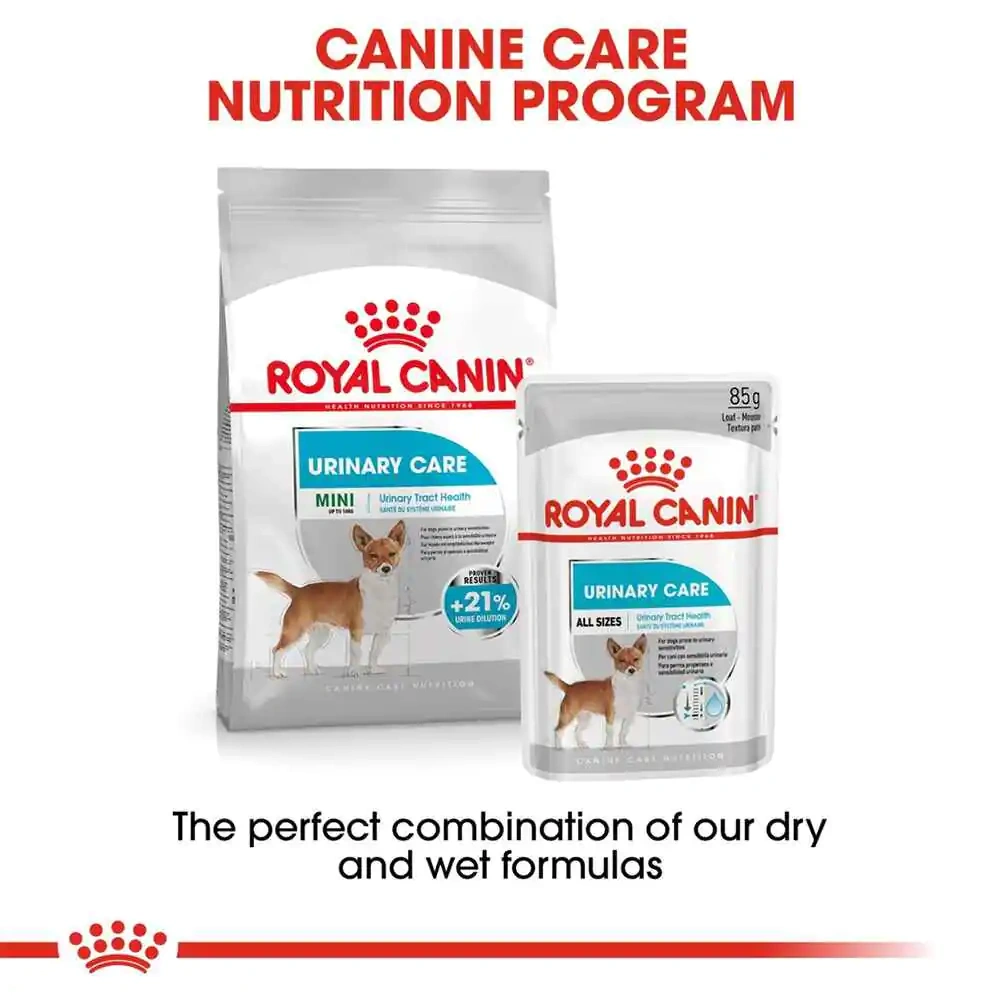 Royal Canin Urinary Care Mini Adult Dry Dog Food - Image 2