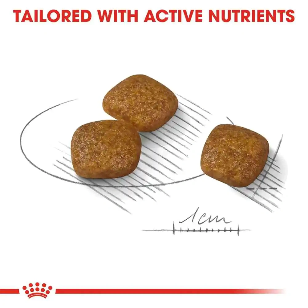 Royal Canin Urinary Care Mini Adult Dry Dog Food - Image 3