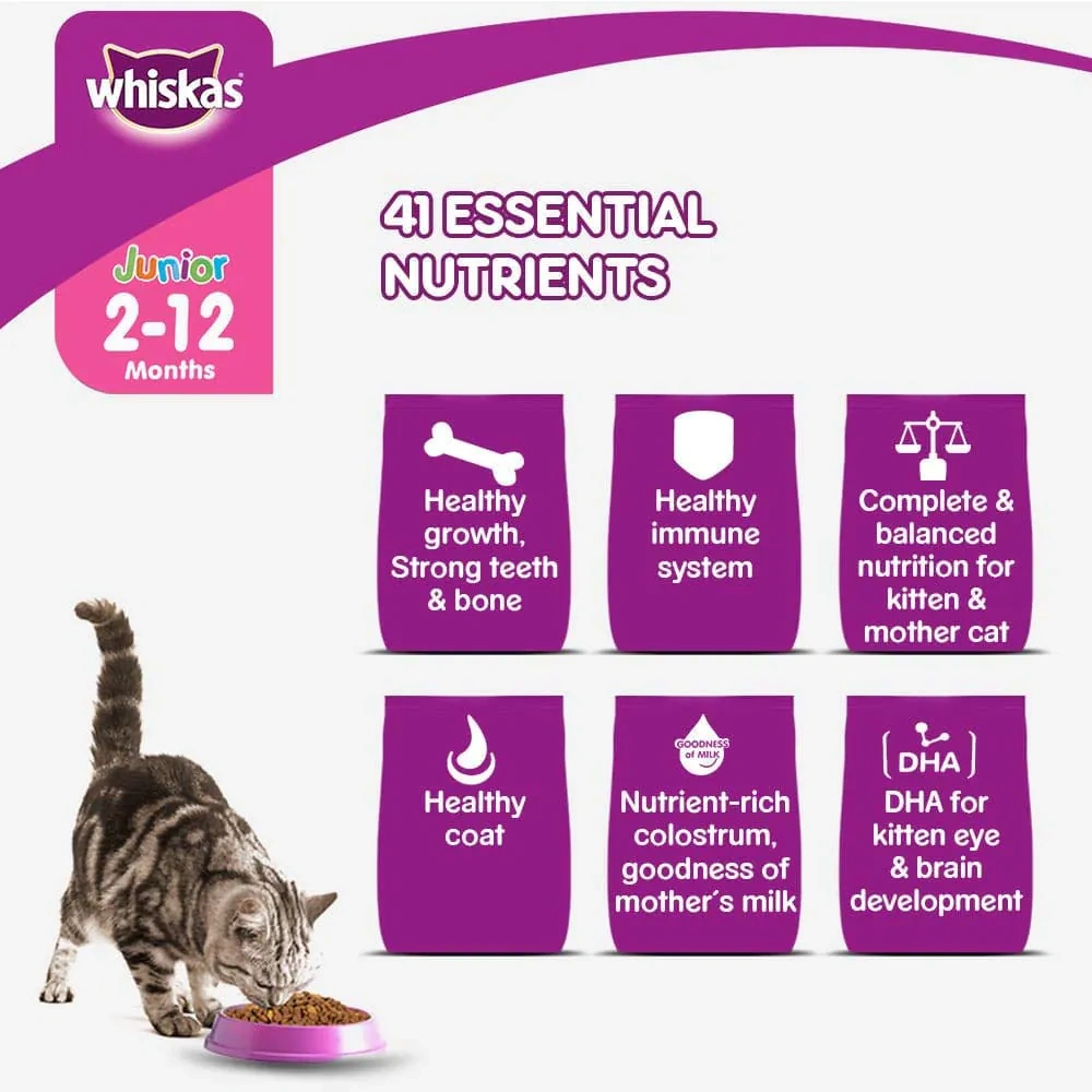 Whiskas Junior Mackerel Dry Food - Image 5