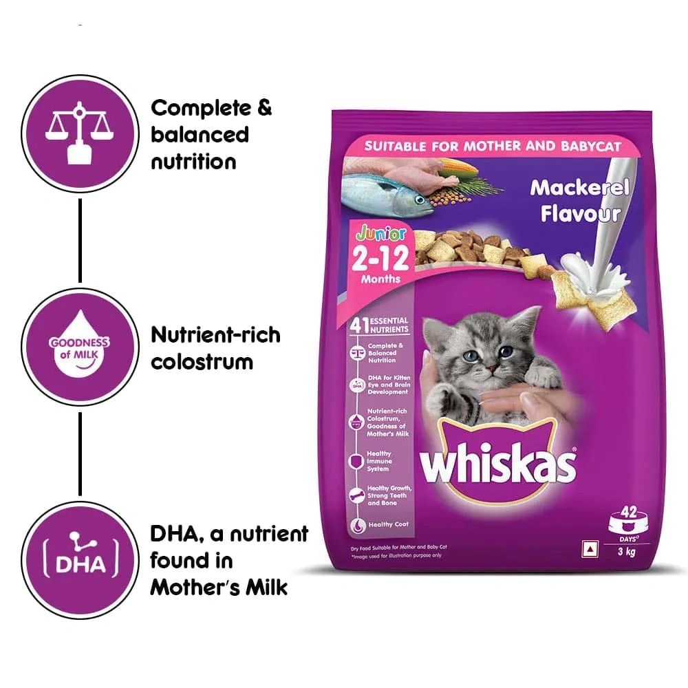 Whiskas Junior Mackerel Dry Food - Image 6