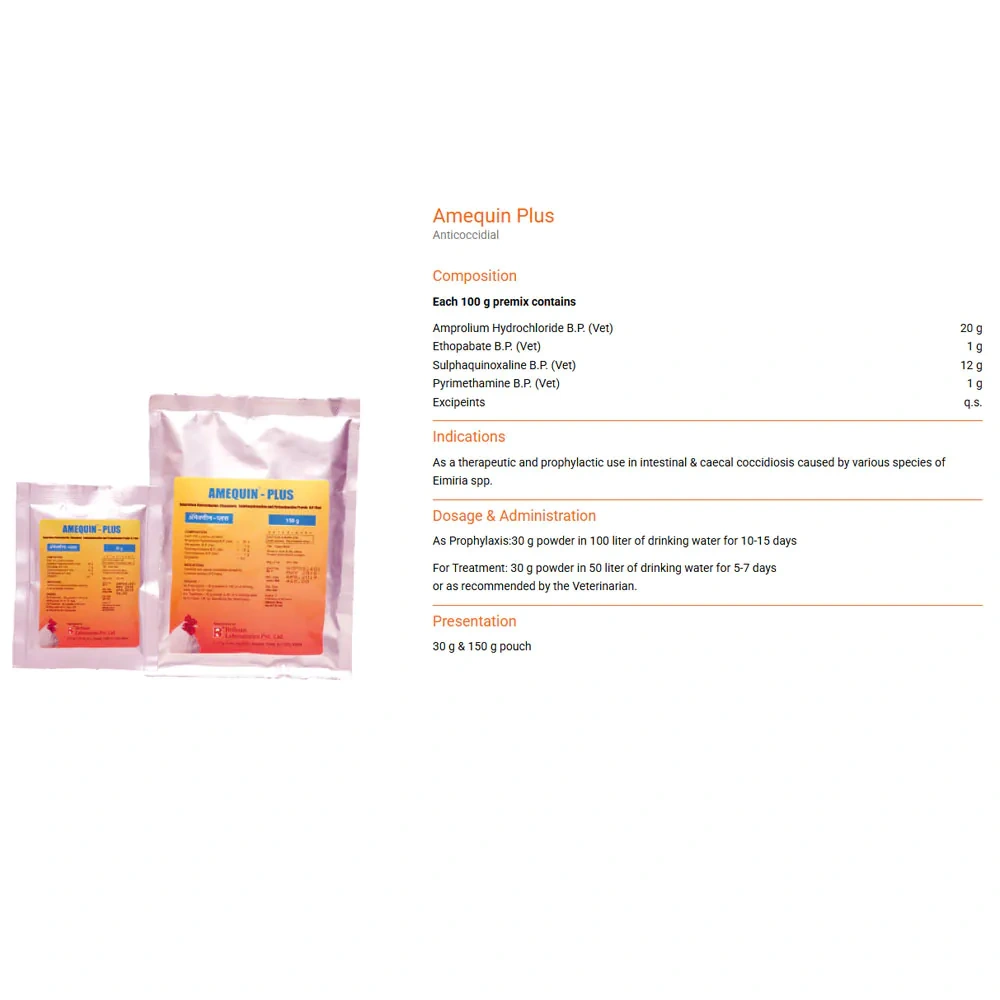 Amequin Plus - Image 2