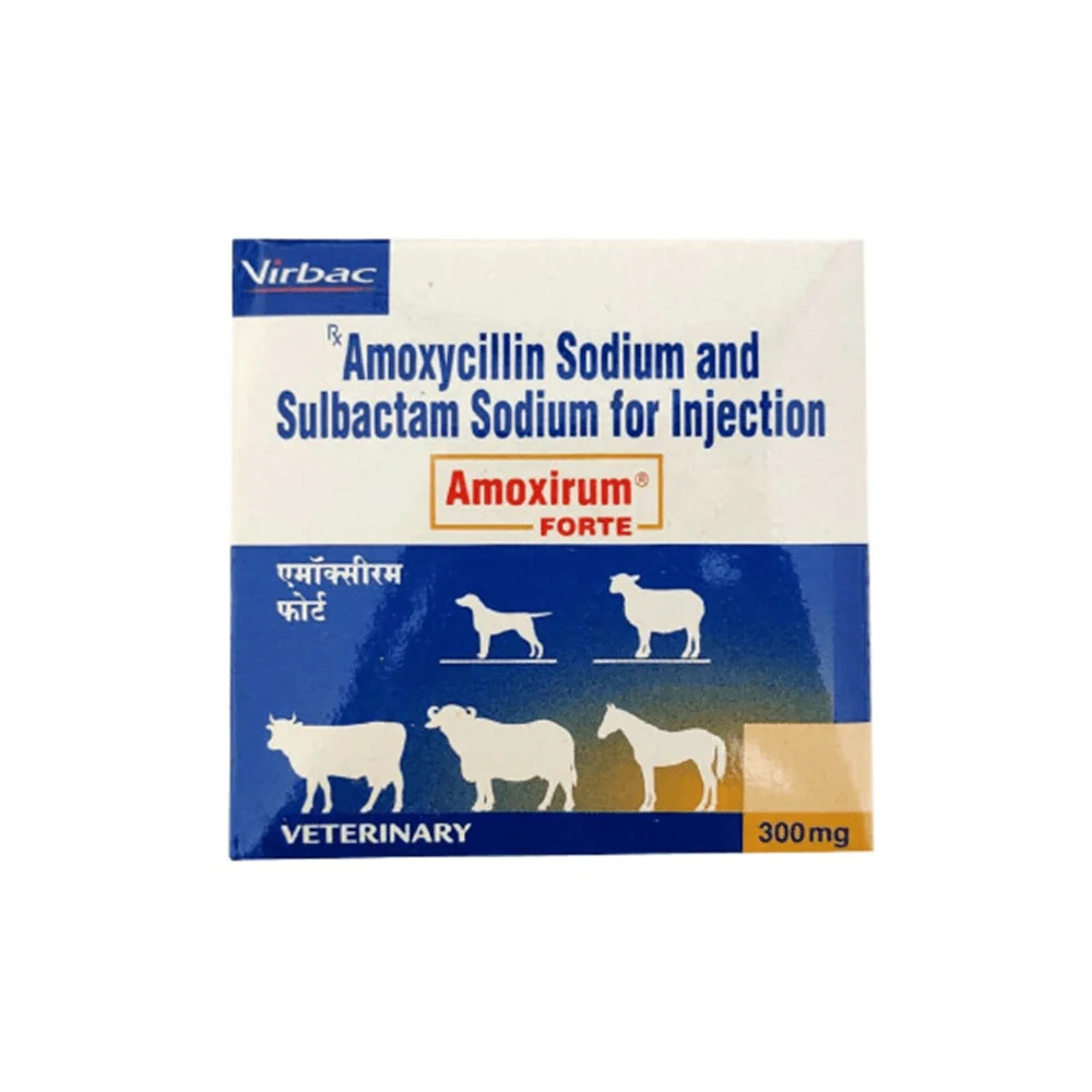 Amoxirum Forte Inj - Image 4