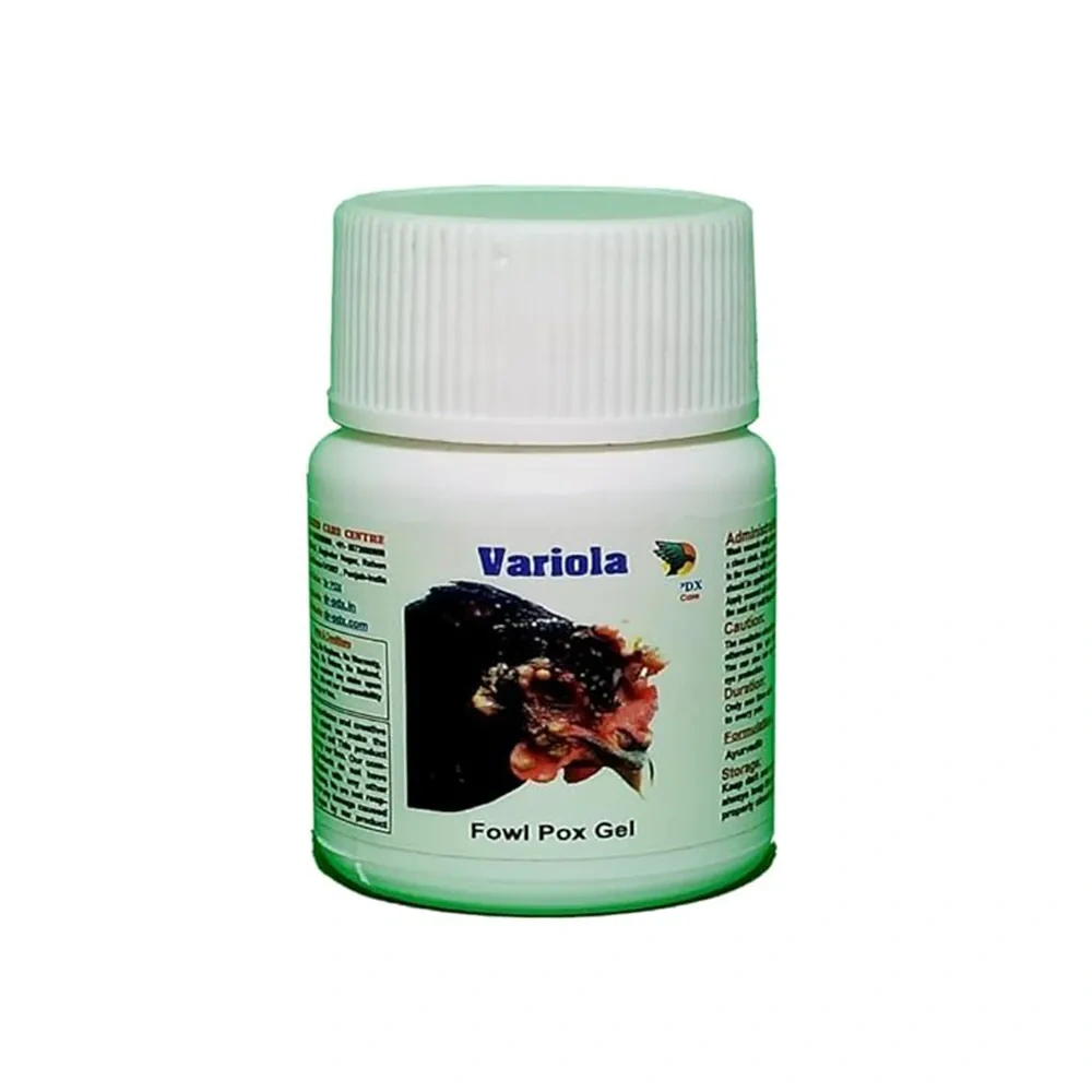 Aseel Rooster Fowl Pox Treatment Medicine - Image 2