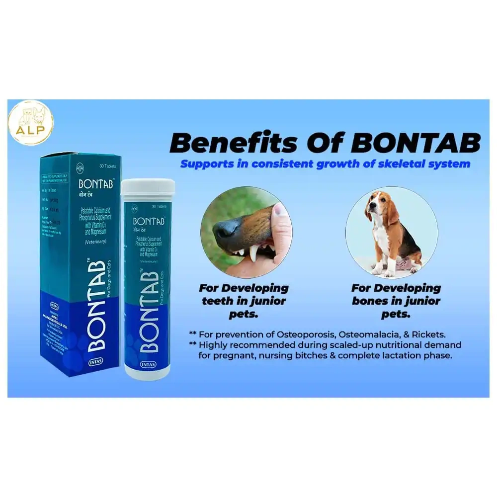 Intas Bontab Calcium Supplement for Dogs and Cats - Image 6