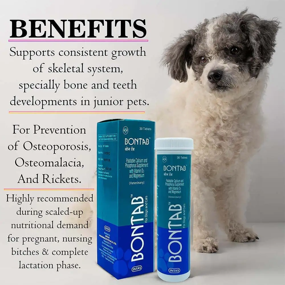Intas Bontab Calcium Supplement for Dogs and Cats - Image 7