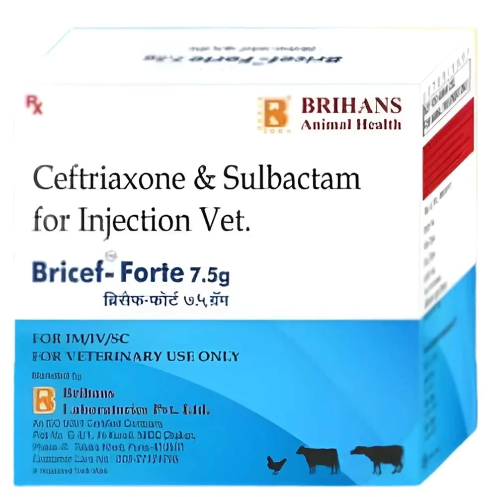 Bricef Forte Inj – Broad-Spectrum Antibiotic for Animals