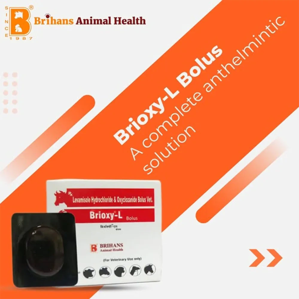 Brioxy-L Bolus - Image 4
