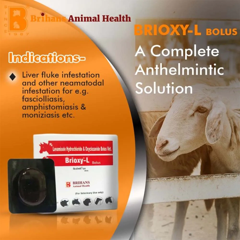 Brioxy-L Bolus - Image 5
