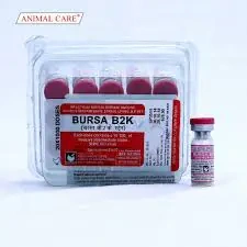 Bursa B2K - Image 4