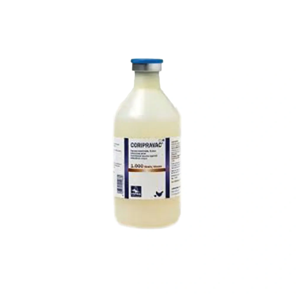 Encivax - Image 2