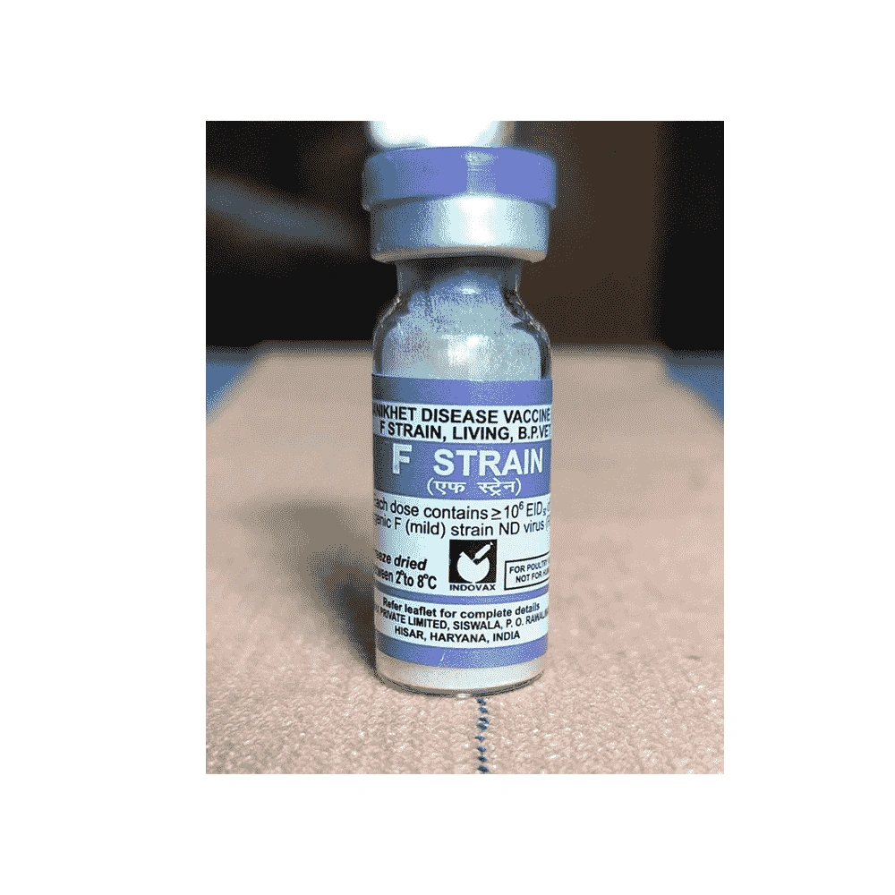 F-Strain - Image 2