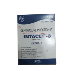 Intacef-3 Inj