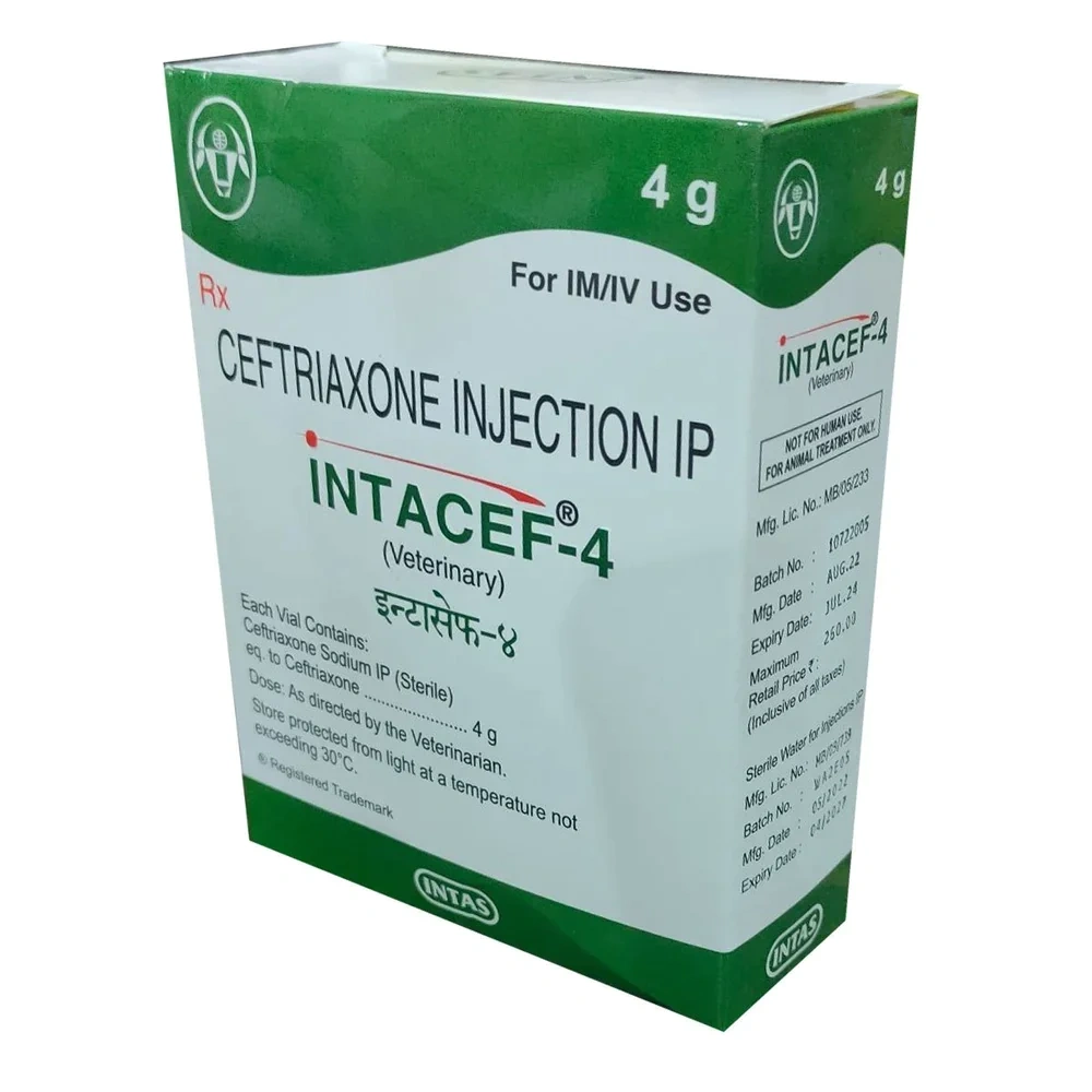 Intacef 4 Injection - Image 2