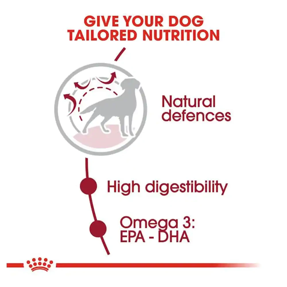 Royal Canin Medium Adult Dry Dog Food - Image 3