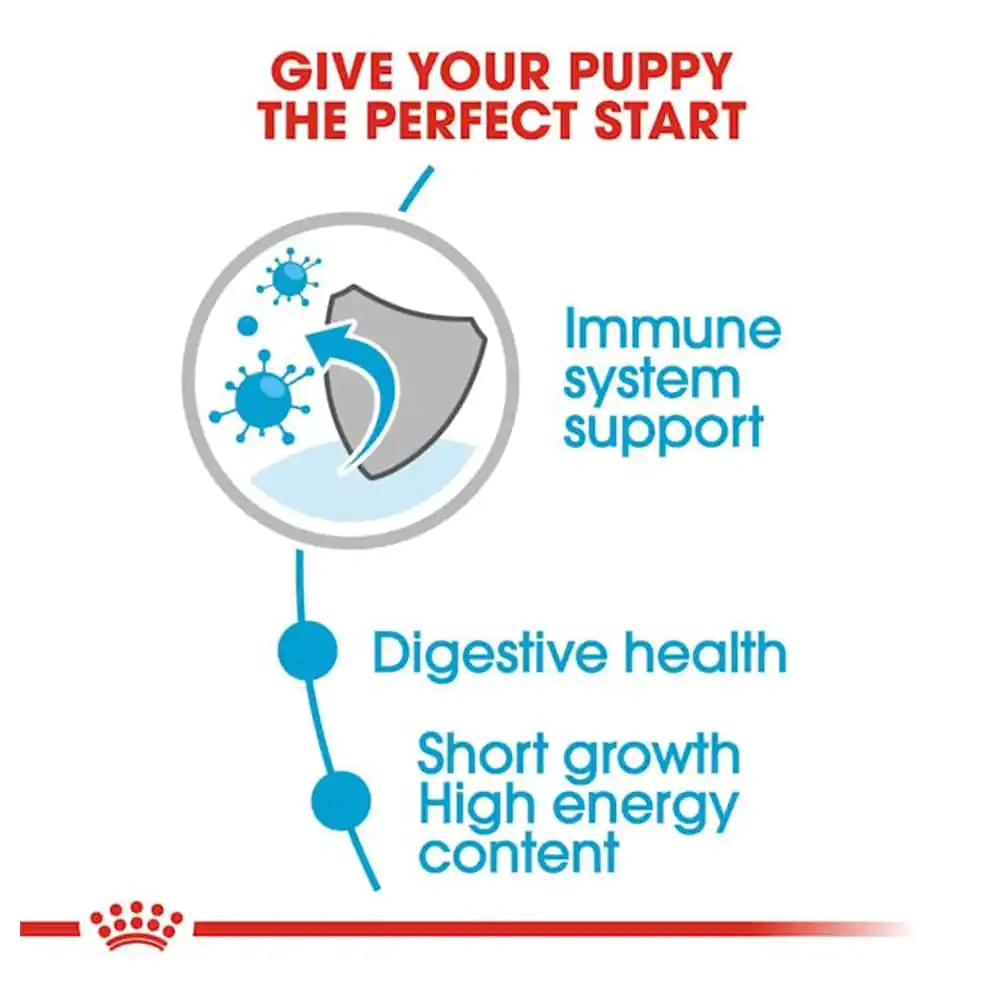 Royal Canin Puppy Medium Wet Puppy Food - Image 2