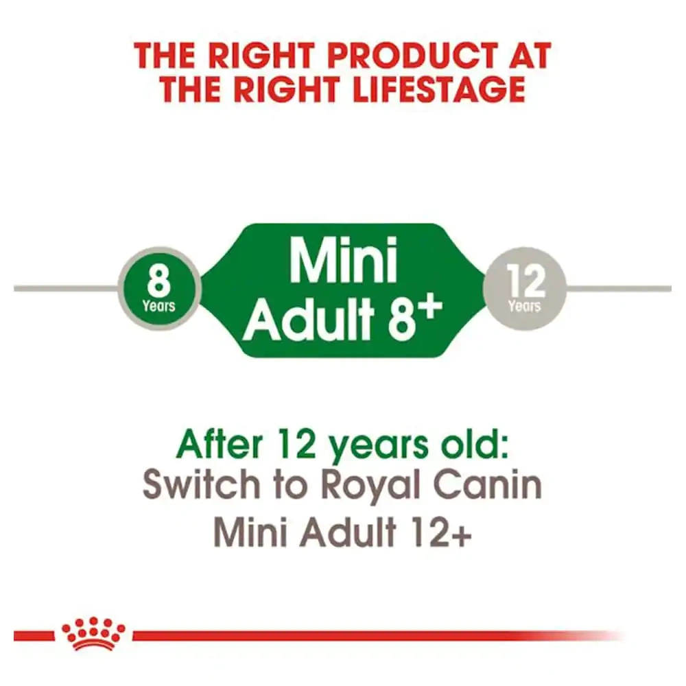 Royal Canin Mini 8+ Adult Dog Dry Food - Image 2