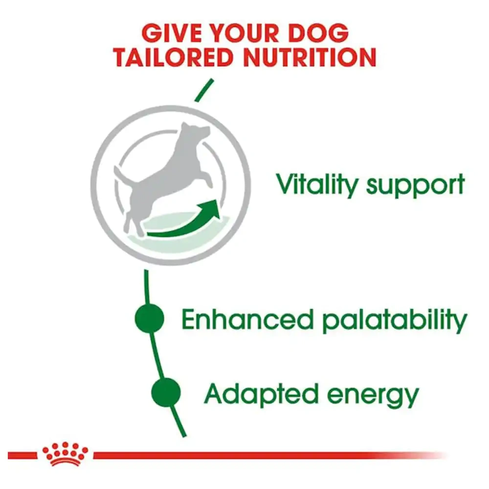 Royal Canin Mini 8+ Adult Dog Dry Food - Image 3