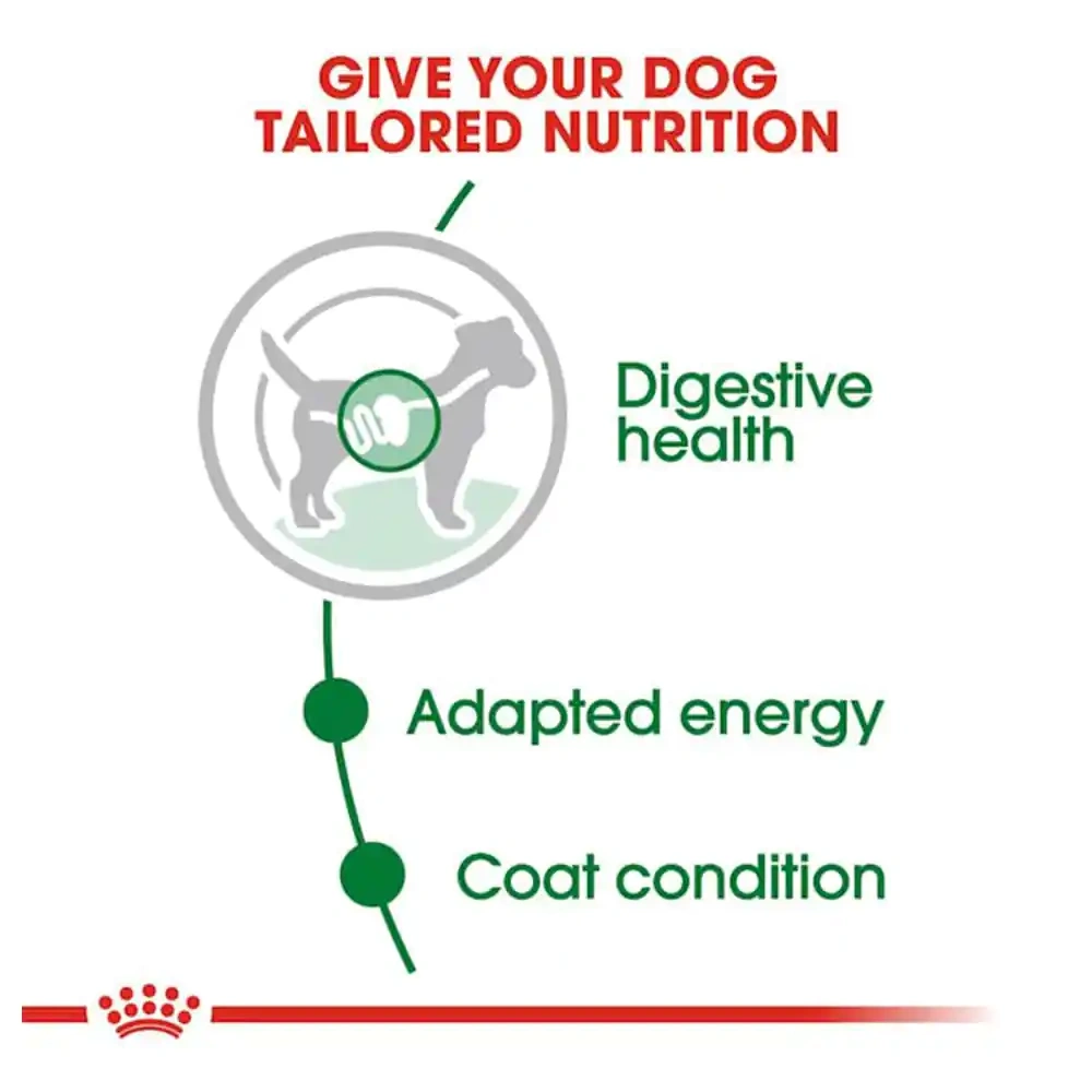 Royal Canin Mini Adult Gravy Dog Wet Food - Image 3