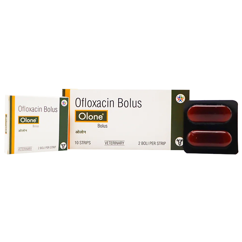 Olone Bolus - Image 3
