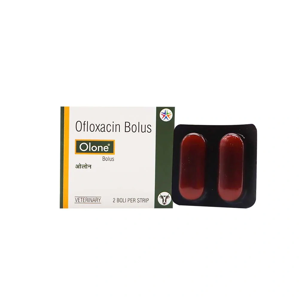 Olone Bolus - Image 2