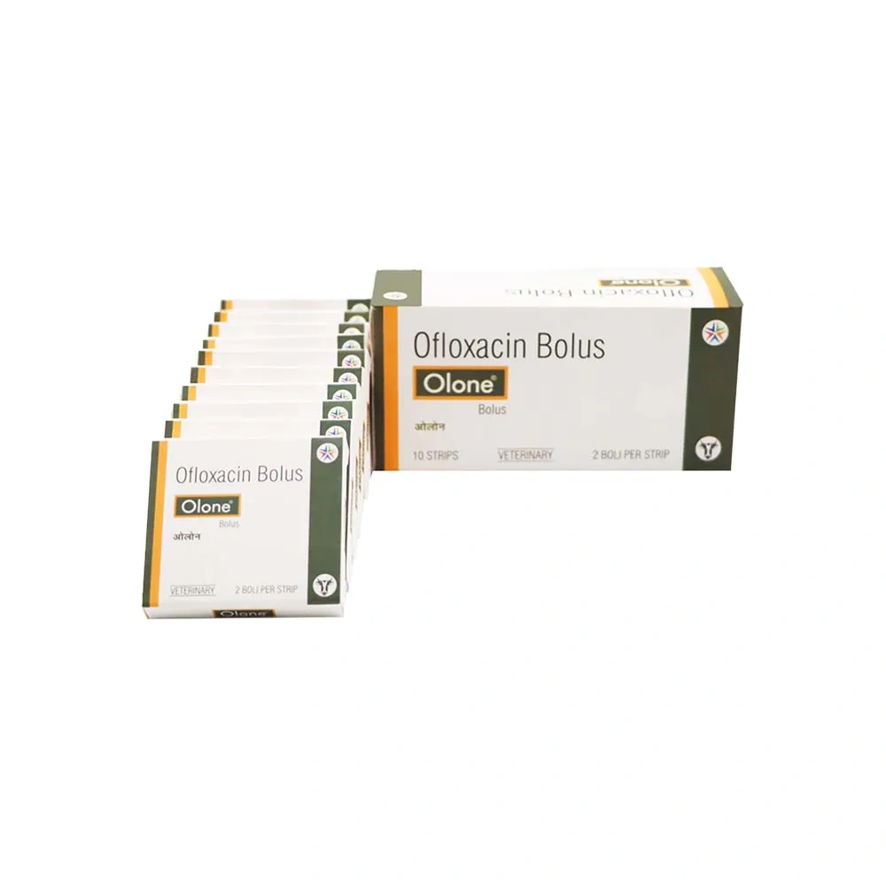Olone Bolus - Image 4
