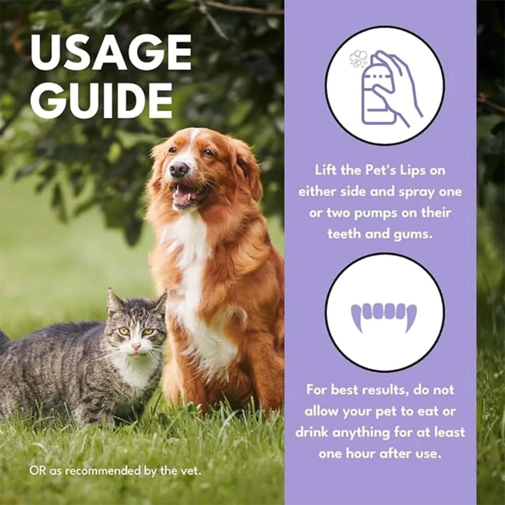 Petroyale Oral Care Spray for Dogs & Cats - Image 5