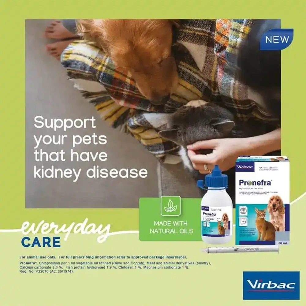 Pronefra Syrup for Dogs & Cats - Image 4