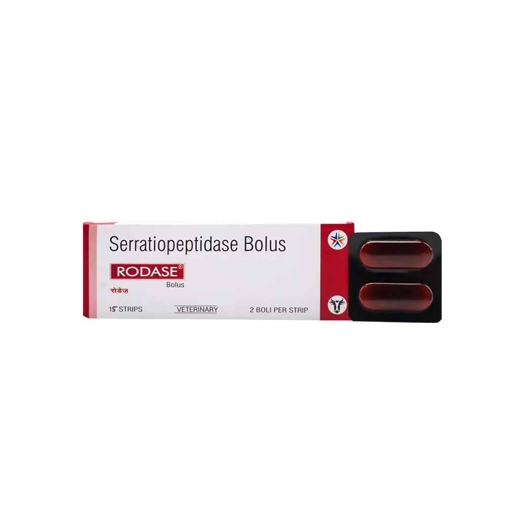 Rodase Bolus - Image 2