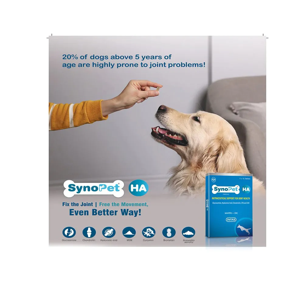 Intas Synopet HA for Dogs and Cats - Image 4