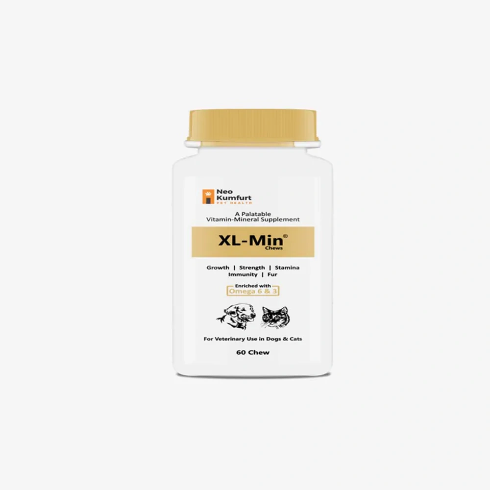 XL Min Syrup Nutritional Supplement for Dogs and Cats - Image 2