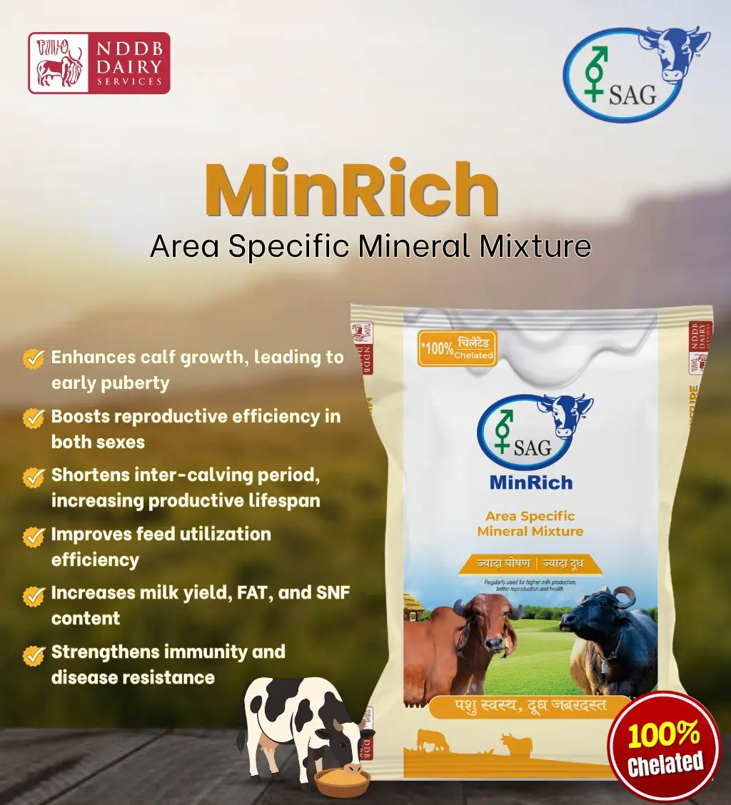 NDDB Cattle Mineral Mixture Feed - Image 3