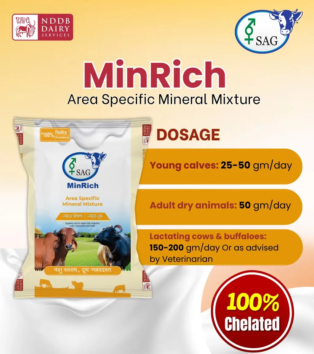 NDDB Cattle Mineral Mixture Feed