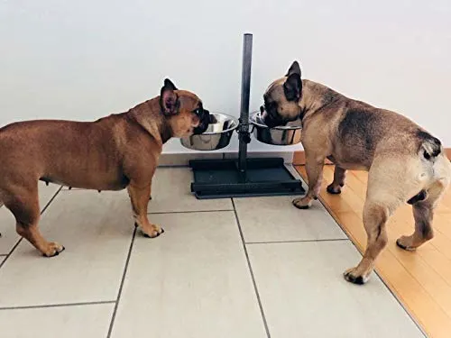 Adjustable Elevated Pet Feeder(L) - Image 2