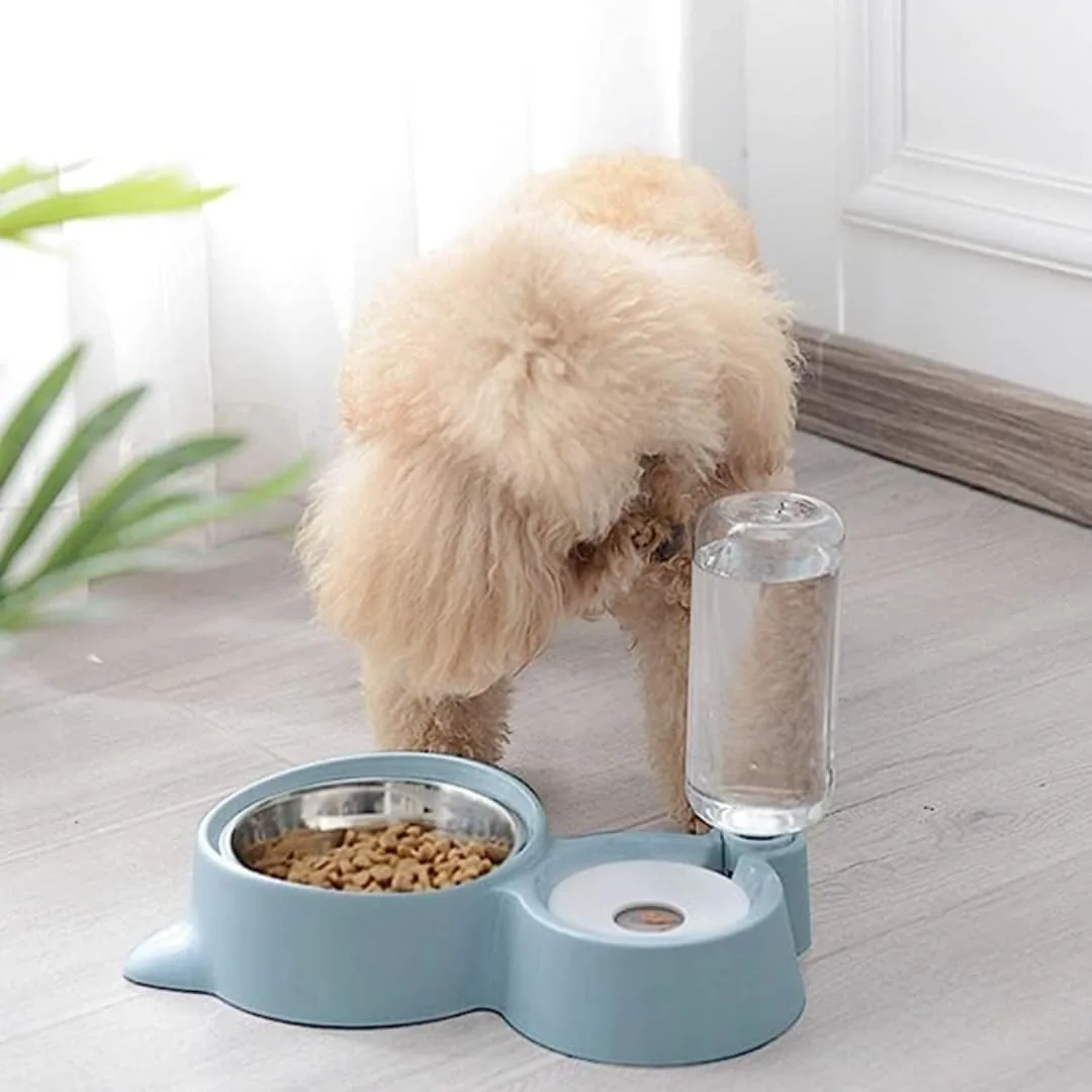 Cat Bowl | 2 in 1 Bowl Water and Food Cat Feeder | Automatic Water Dispenser - Image 2
