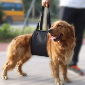Belly Support for Dogs | Lift Support Harness | Pet Belly Support Belt