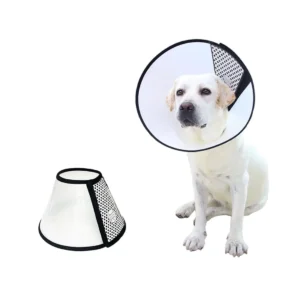 Dog Ecollar 1-7 Sizes