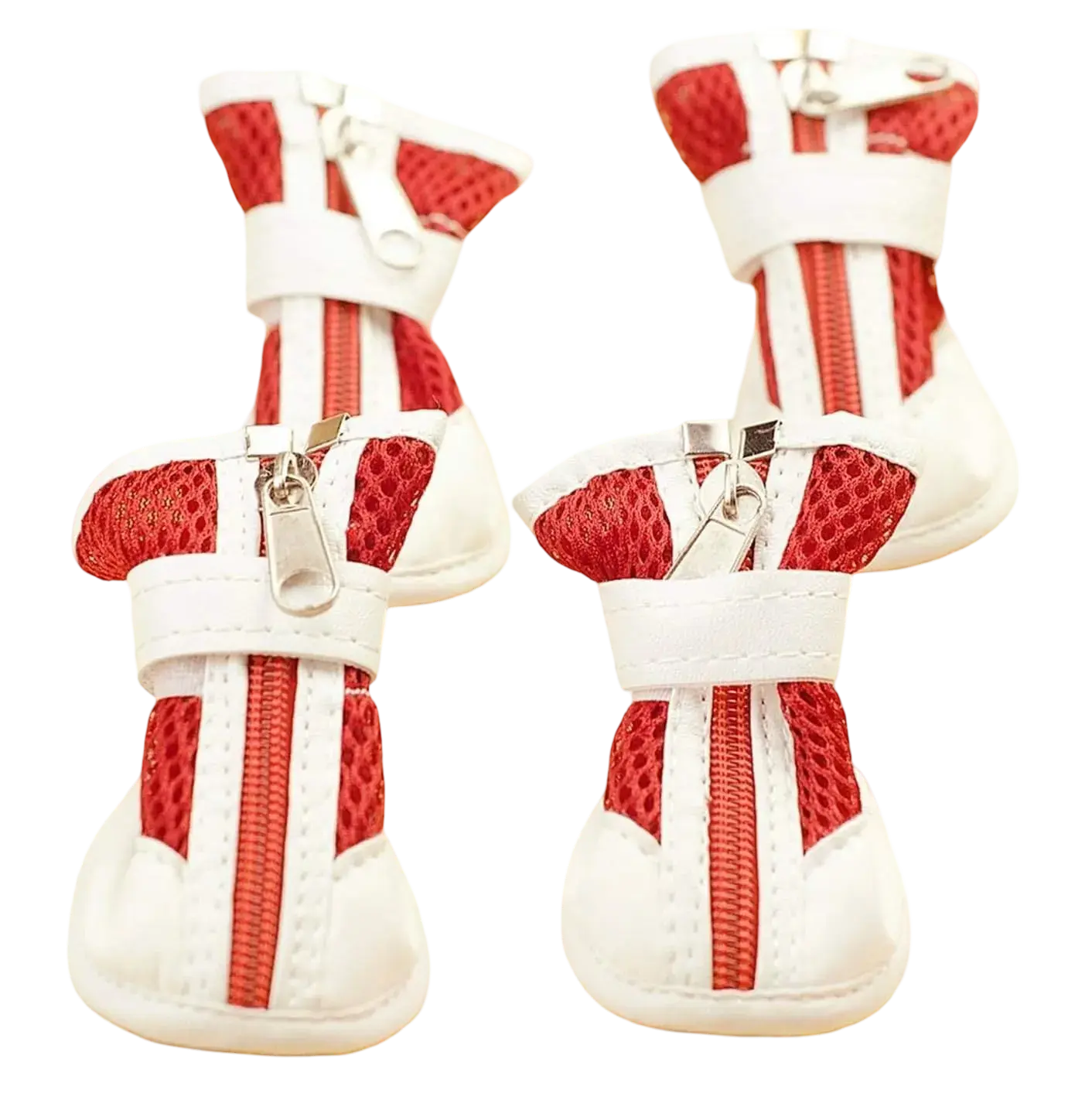 Pet Shoes 7 Number