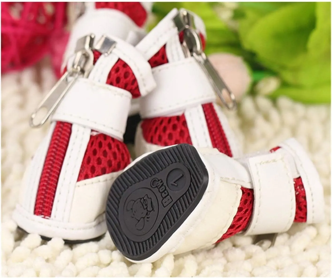 Pet Shoes 7 Number - Image 5
