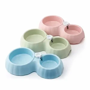 Pumpkin Pet Bowl