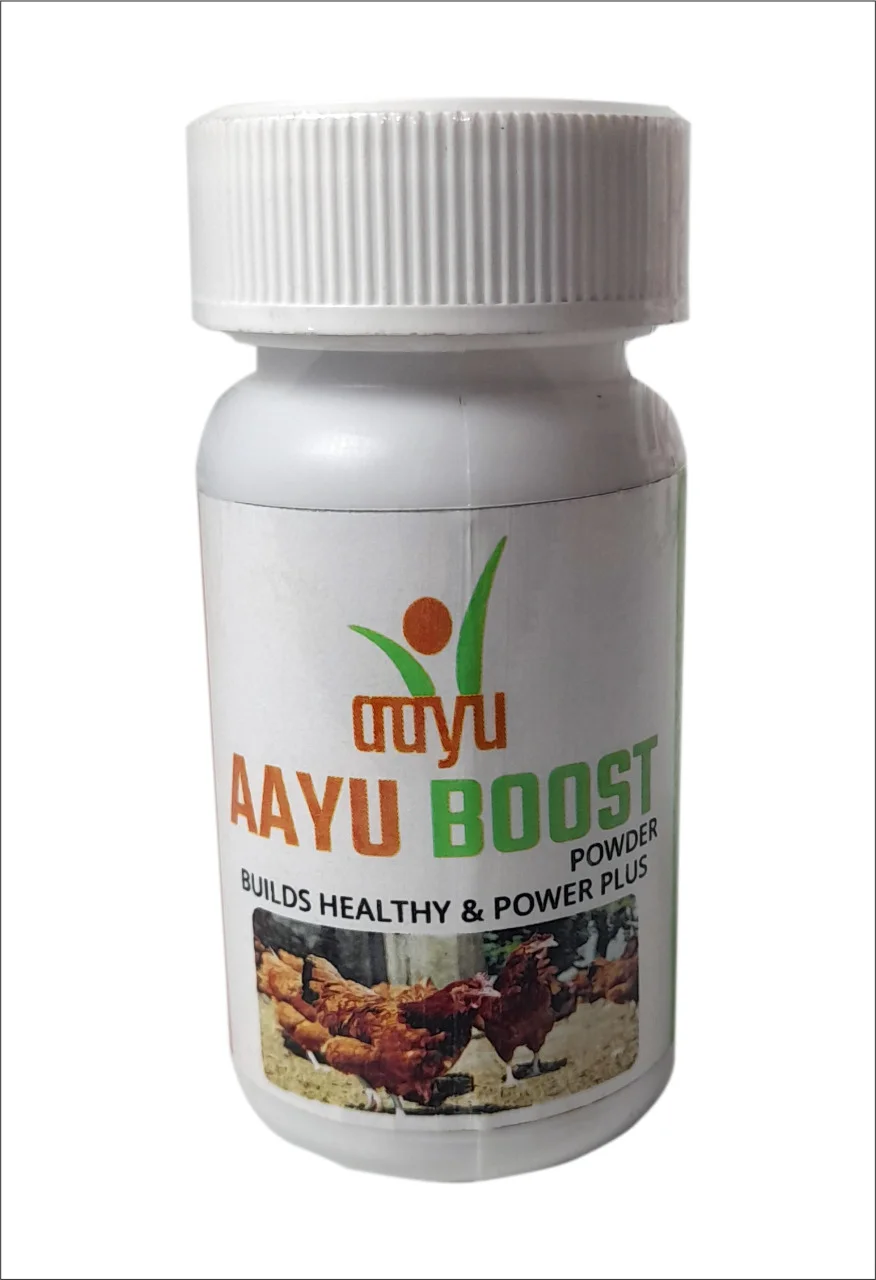 AAYU BOOST Powder – Immunity Enhancer & Anti-Inflammatory (100g) for Poultry | Strengthens Immunity & FCR
