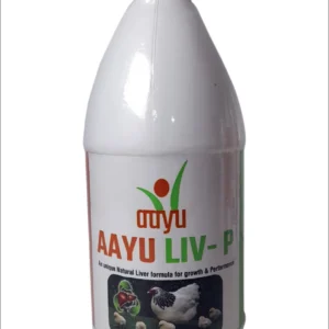 AAYU LIV P Powder – Hepatoprotective Liver Tonic (1kg) for Poultry | Regulates Hepatic Enzymes & Optimizes FCR