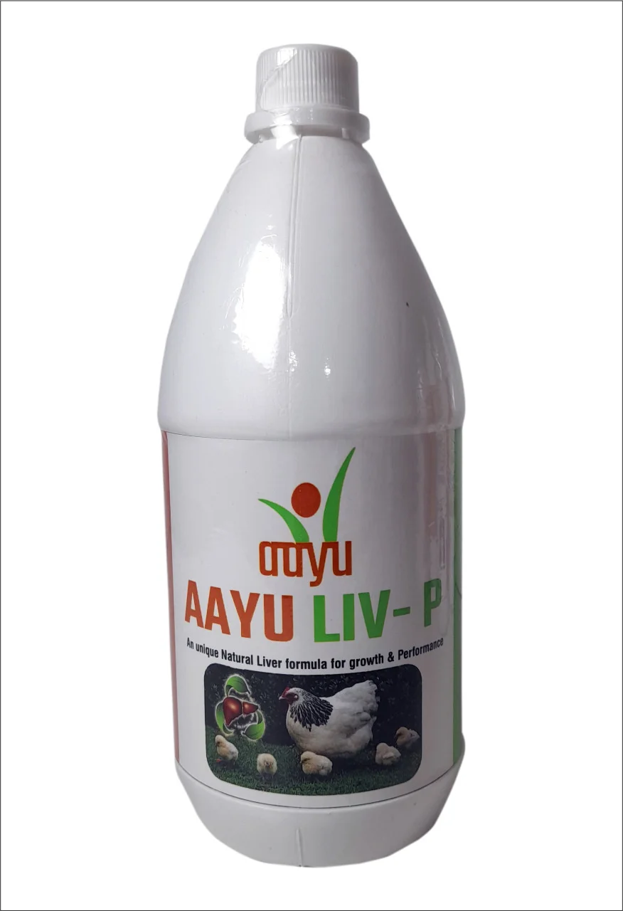 AAYU LIV P Powder – Hepatoprotective Liver Tonic (1kg) for Poultry | Regulates Hepatic Enzymes & Optimizes FCR