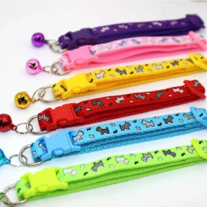 Classic Collar for Dogs & Cats – Adjustable Nylon Everyday Pet Collar