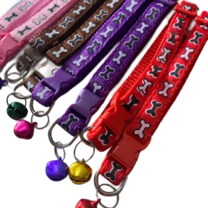 Vibrant Collar for Dogs & Cats – Durable Everyday Walking Collar