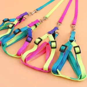 Colorful Braided Rope Chest & Back Harness (Large) – Heavy-Duty Control Harness