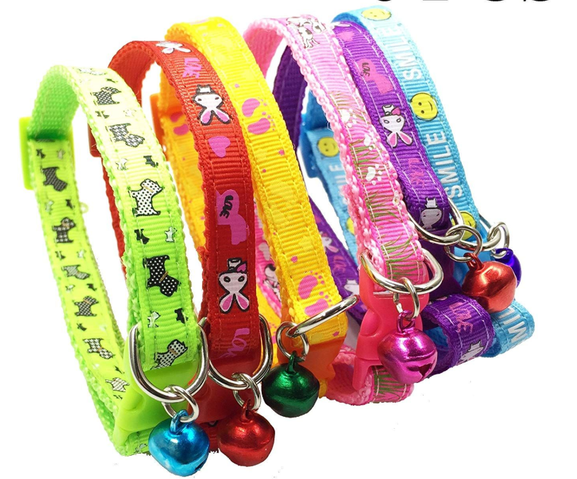 Flower Charm Pet Collar – Decorative Floral Breakaway Collar for Cats & Puppies