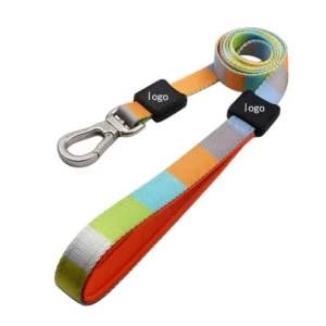 Heavy-Duty All-in-One Slip Lead & Collar – Training Walking Leash for Dogs